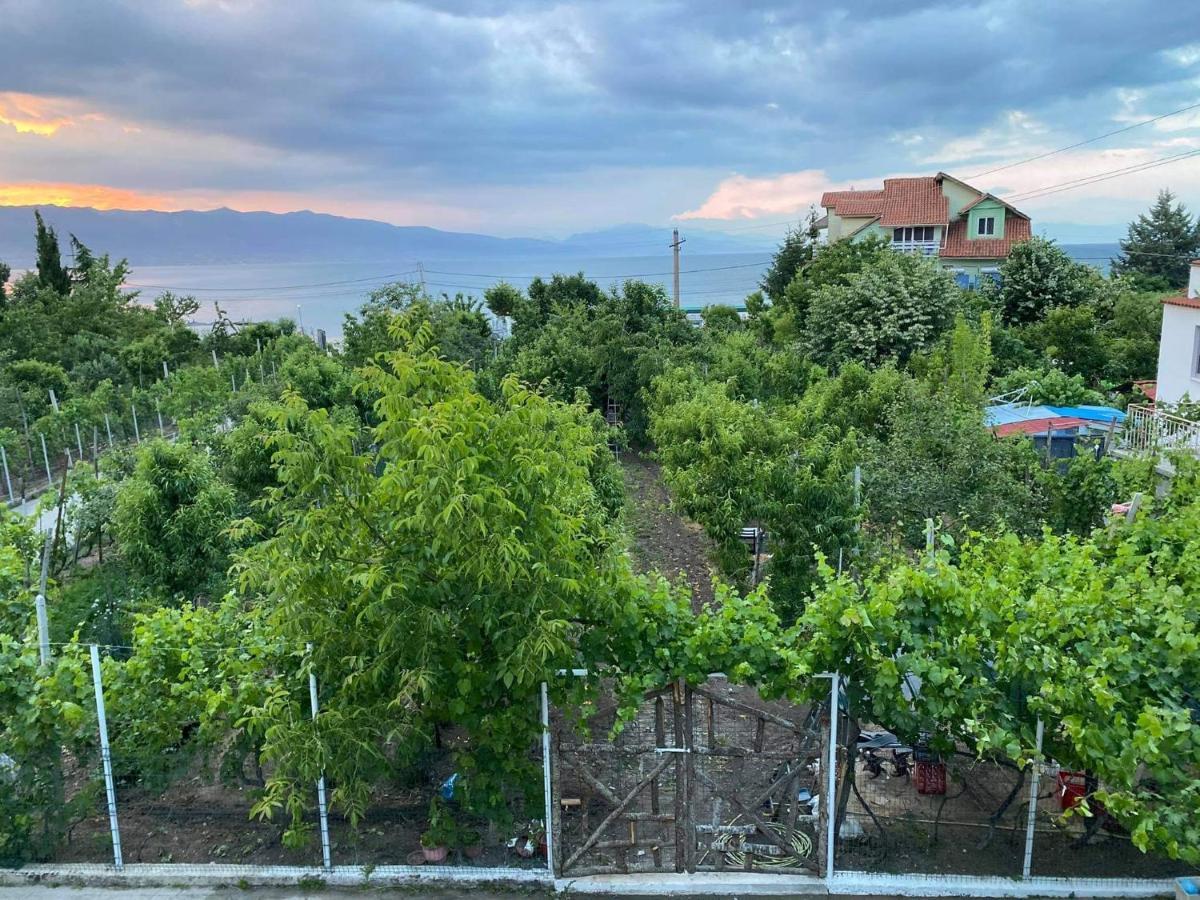 فندق Bujtina Gjyshi Ilo Tushemisht المظهر الخارجي الصورة