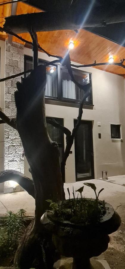 فندق Bujtina Gjyshi Ilo Tushemisht المظهر الخارجي الصورة